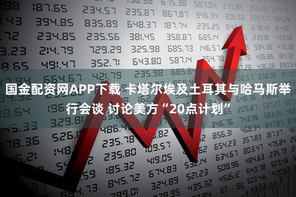 国金配资网APP下载 卡塔尔埃及土耳其与哈马斯举行会谈 讨论美方“20点计划”