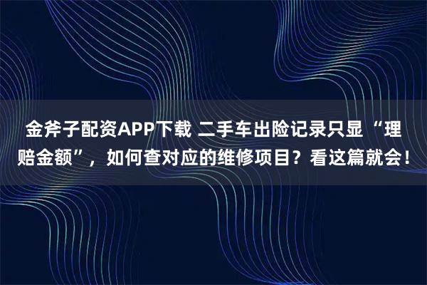 金斧子配资APP下载 二手车出险记录只显 “理赔金额”,如何查对应的维修项目?看这篇就会!