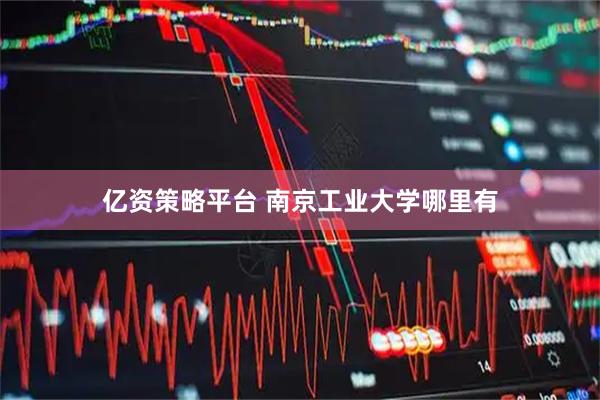 亿资策略平台 南京工业大学哪里有