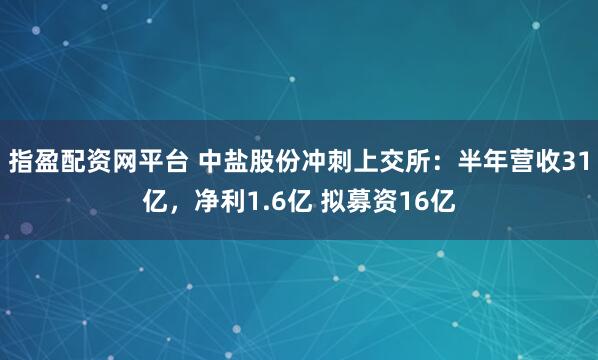 指盈配资网平台 中盐股份冲刺上交所：半年营收31亿，净利1.6亿 拟募资16亿